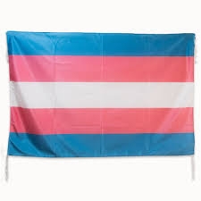 Bandera Trans