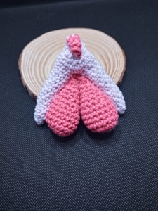 Clítoris de Crochet