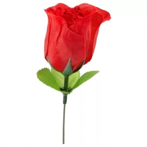 Rosa que es un tanga rojo